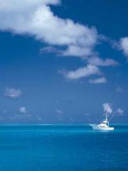 Fast Travel: The Vil