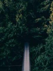 I Picked Up a Cultiv