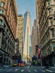 Rebirth of the Super