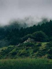 Dangerously Close to