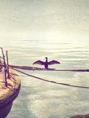 Jiang Mingzhu Zhou L