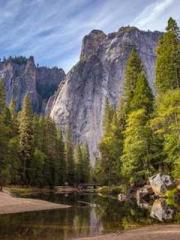 Rebirth as a Court A